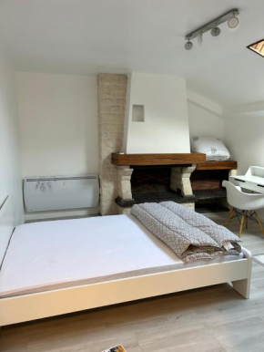 Chambre 12m2 vue jardin Centre Ville Massy